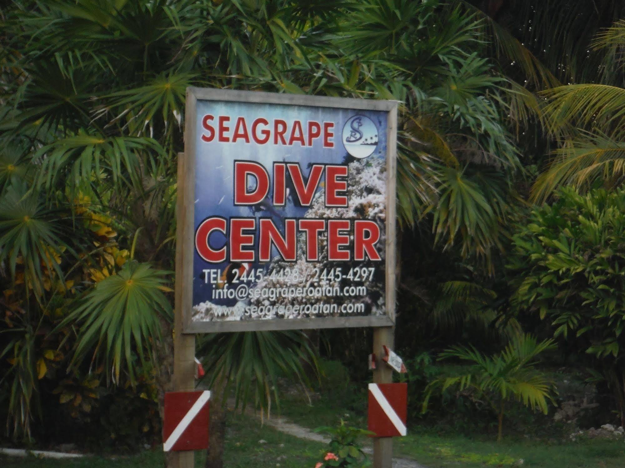 西加拉普种植园度假潜水中心酒店 西区 外观 照片